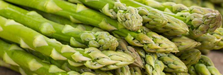 Asparagus