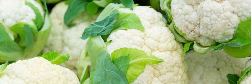 Cauliflower: