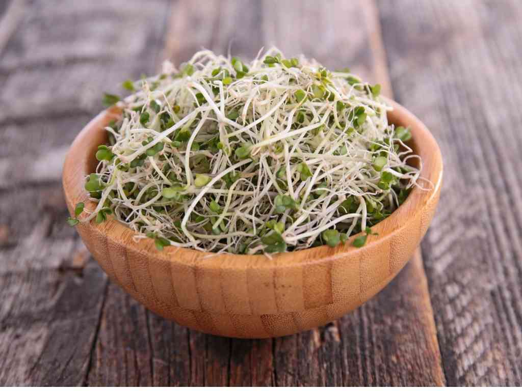 Broccoli sprouts: