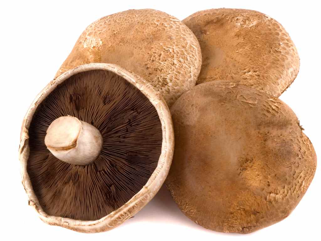 Portobello mushrooms