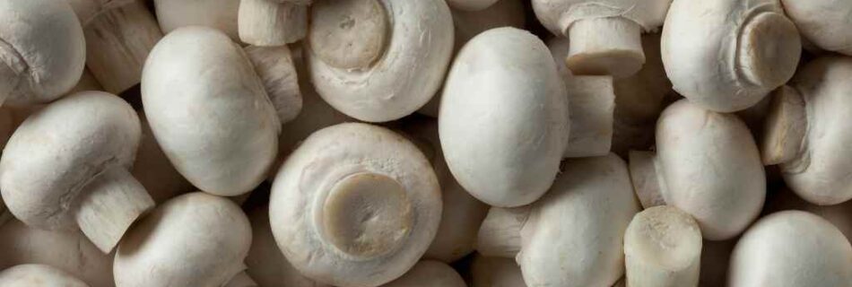 Button mushrooms