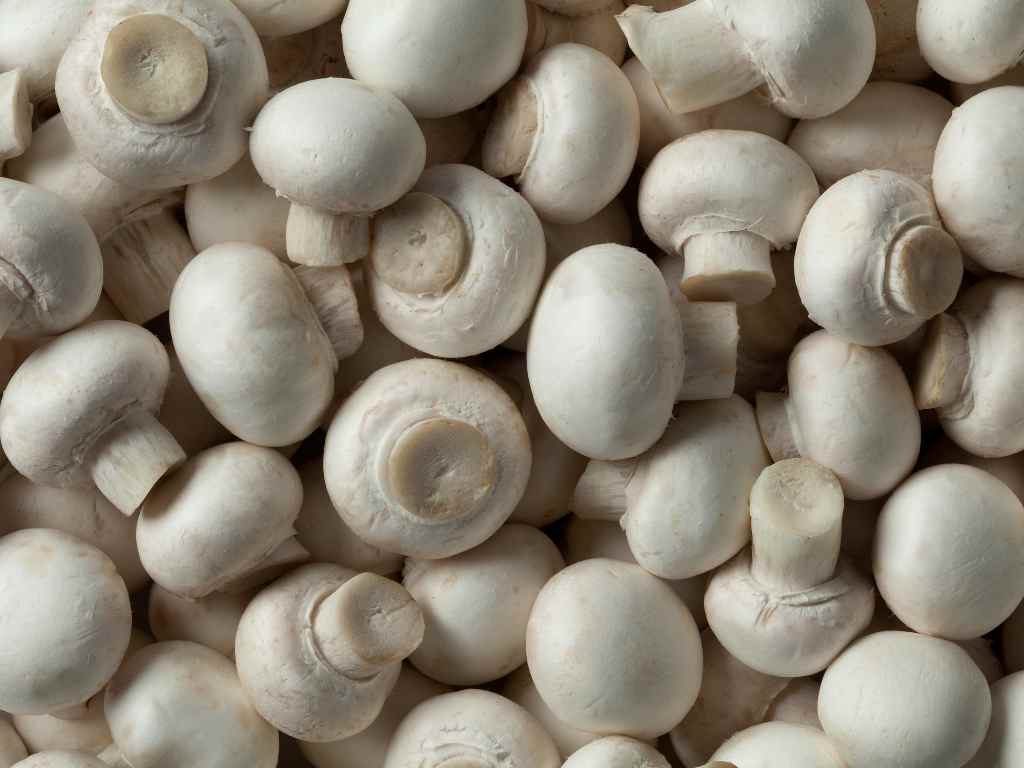 Button mushrooms